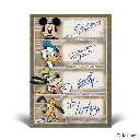 87da3dc121ab1c7d8ad08384c839e2e96fa70428_toppschrome_disney_2___new.webp